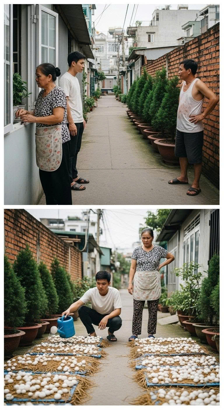 Người hàng xóm á///c ý trồng cây che ánh sáng nhà tôi, còn h//ả h//ê nói: “Có giỏi thì chặt đi xem nào!