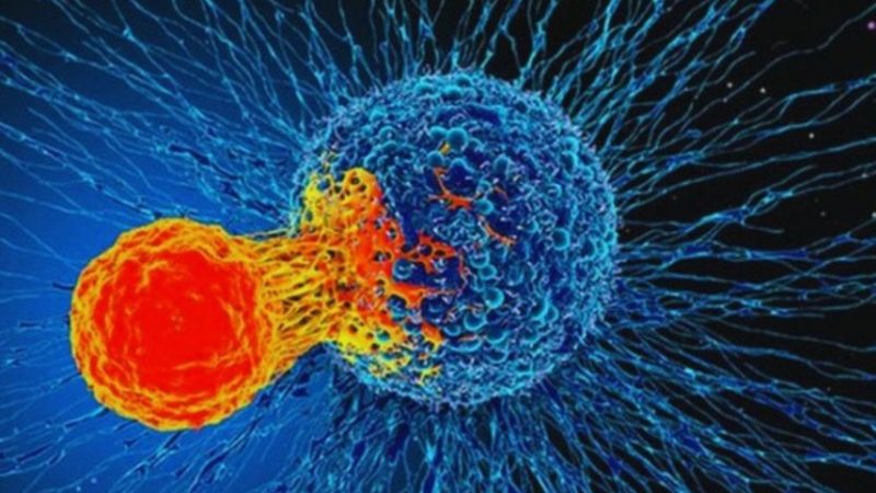 3 biểu hiện vào ban đêm khi ngủ cảnh báo một người đang mắc ung thư