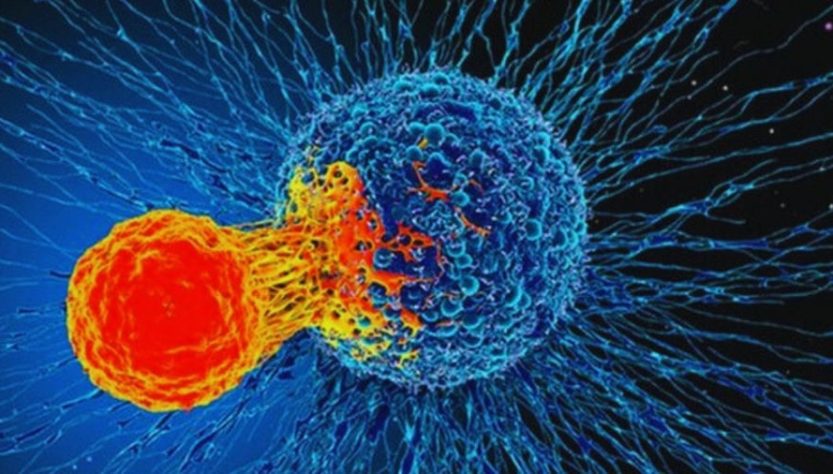 3 biểu hiện vào ban đêm khi ngủ cảnh báo một người đang mắc ung thư