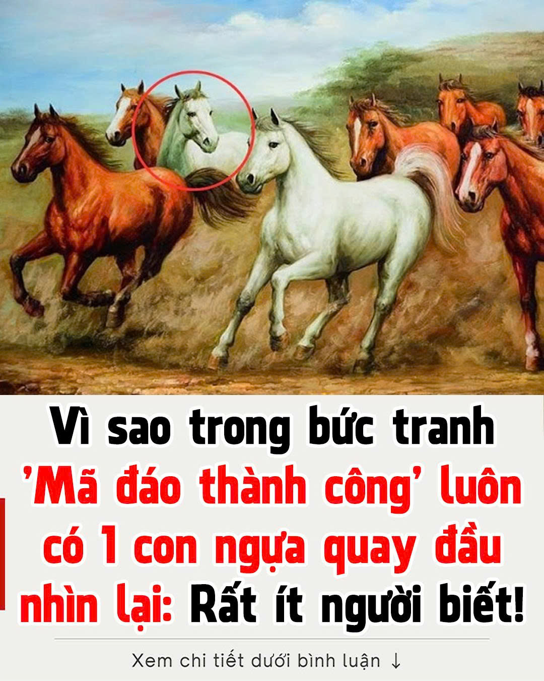 Bức tranh ‘Mã đáo thành công’ có thể nói là 1 bức tranh vô cùng nổi tiếng mà ai cũng biết. Nhưng có 1 điều nhiều người thắc là tại sao trong bức tranh “mã đáo thành công” luôn có một con quay đầu lại?