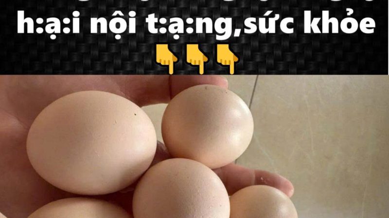 Ngừng ăn ngay 4 loại trứng này vì nguy cơ gây hại nội tạng, sức khỏe