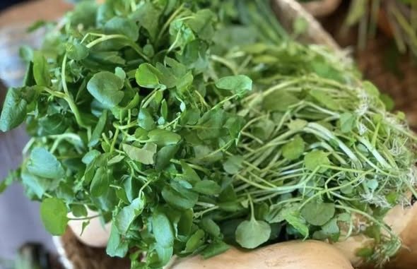 Chợ Việt có loại rau 10.000/bó, là “trùm cuối” chống UT được cả thế giới công nhận