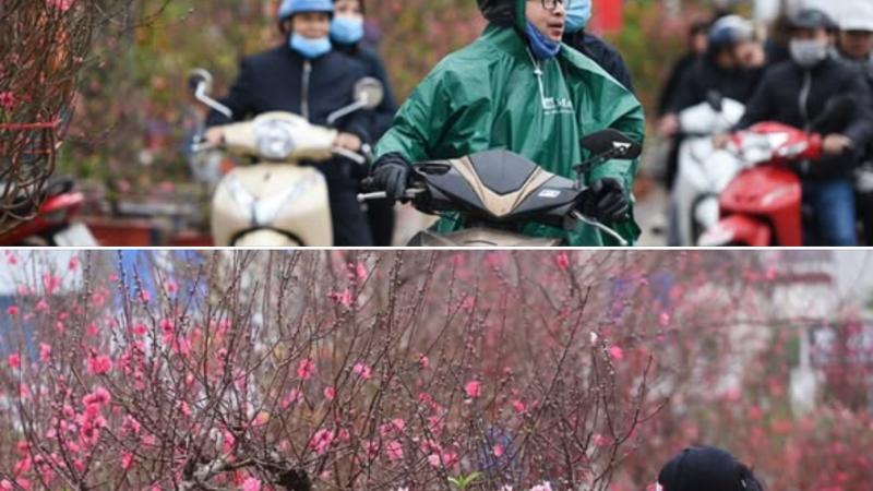 Dự báo thời tiết Tết Nguyên Đán 2026 lạnh hơn mọi năm