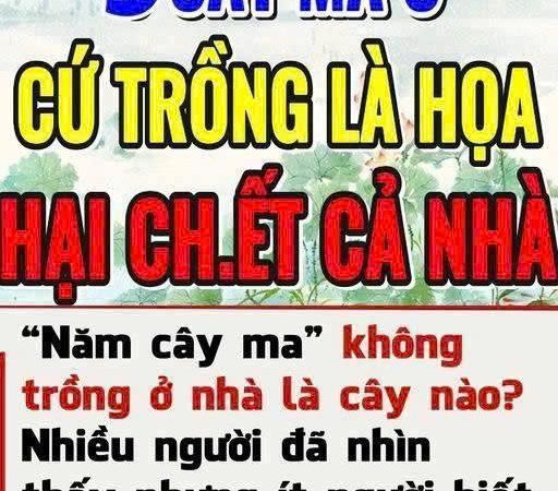 Năm cây ma không trồng ở nhà là năm loại cây nào? Ngoài đời nhiều người đã nhìn thấy nhưng ít người biết – phunugiadinh