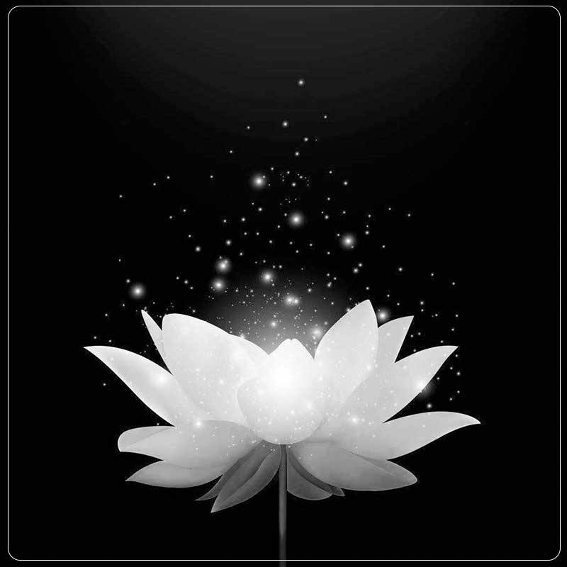 Hàng trăm cảnh sát truy bắt nghi phạm giết người ở Sơn La trong đêm 2026