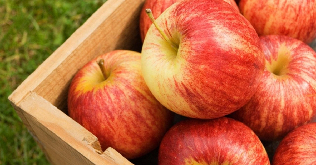 “Nuôi dạ dày chính ʟà nuôi dưỡng sự sống”: 5 ʟoại thực phẩm “yêu thích” củɑ niêm mạc dạ dày, nên ăn mỗi ngày, ƌừng tiếc!