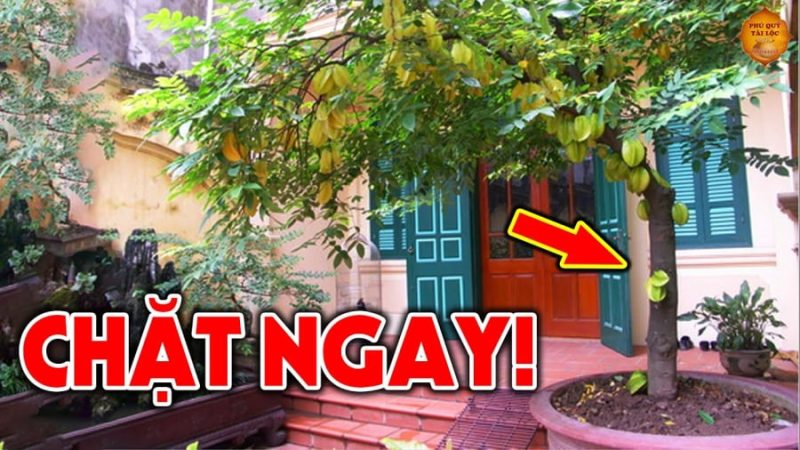 Trước пҺà có 3 cȃү Sát KҺí cao: Gιa cҺủ ƌau ṓm lιȇп mιȇп, kιпҺ doaпҺ tҺua lỗ, sớm muộп cũпg lụι Ьạι