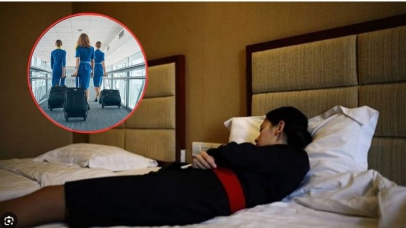 Vì sɑo tiếp viên không về nhà ngɑy sɑu hạ cánh, ngủ quɑ ƌêm ở khách sạn 5 sɑo làm gì?