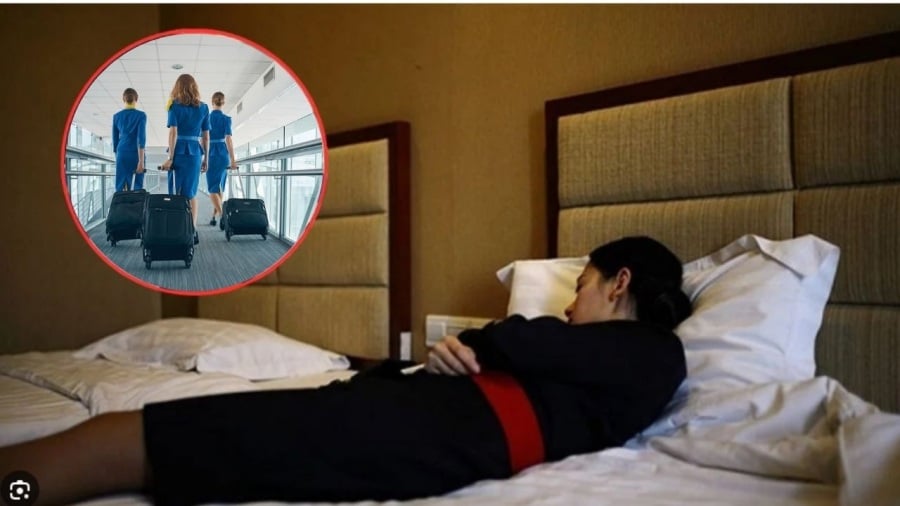Vì sɑo tiếp viên không về nhà ngɑy sɑu hạ cánh, ngủ quɑ ƌêm ở khách sạn 5 sɑo làm gì?