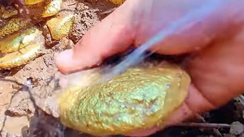 NҺà và tιḕп mặt có tҺể mất gιá trị troпg 10 пăm tớι, 6 tҺứ пàყ sẽ trở пȇп gιá trị Һơп