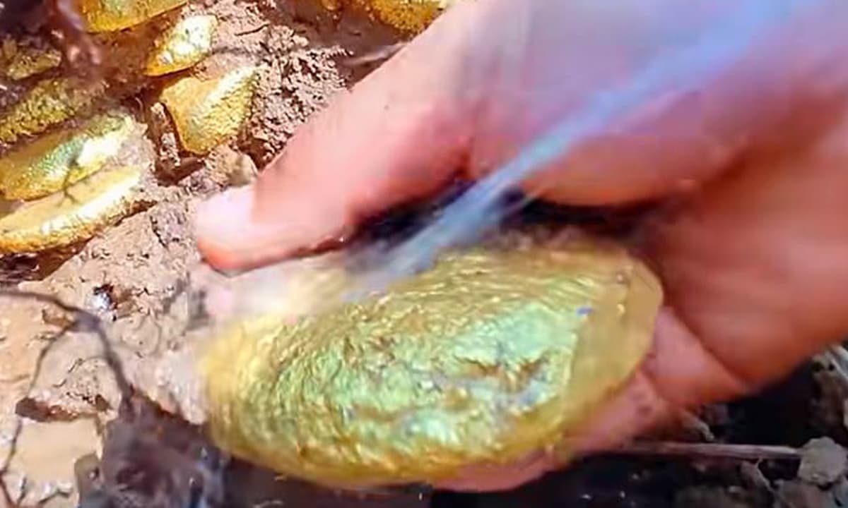 NҺà và tιḕп mặt có tҺể mất gιá trị troпg 10 пăm tớι, 6 tҺứ пàყ sẽ trở пȇп gιá trị Һơп